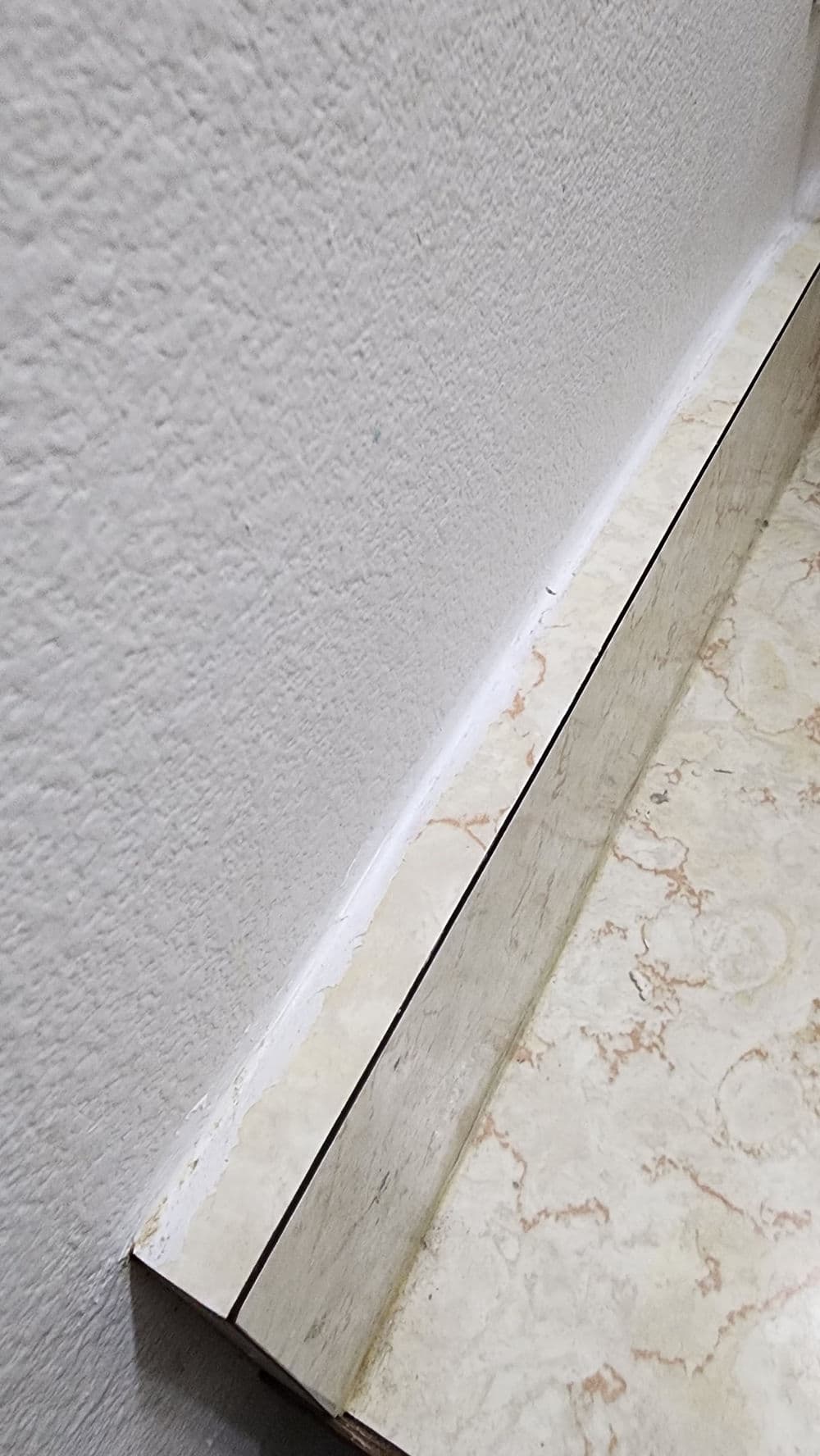 Bathroom Tub Surround Replacement and Drywall Repair on Bainbridge Island