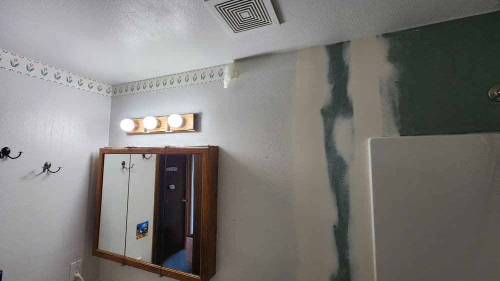 Bathroom Tub Surround Replacement and Drywall Repair on Bainbridge Island